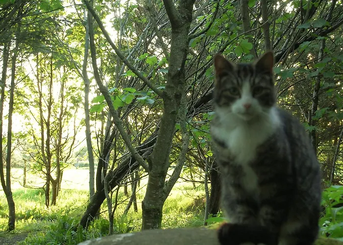 Ardtarmon Garden Дом отдыха